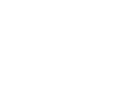 DVM