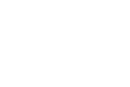 Bravosincord