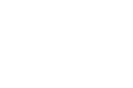DVM